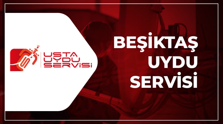 Beşiktaş Uydu Servisi