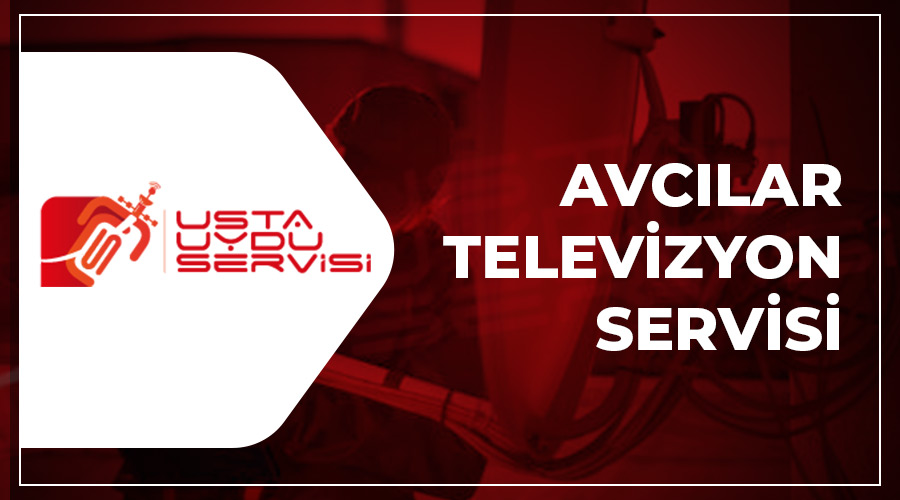 Avcılar TV Servisi